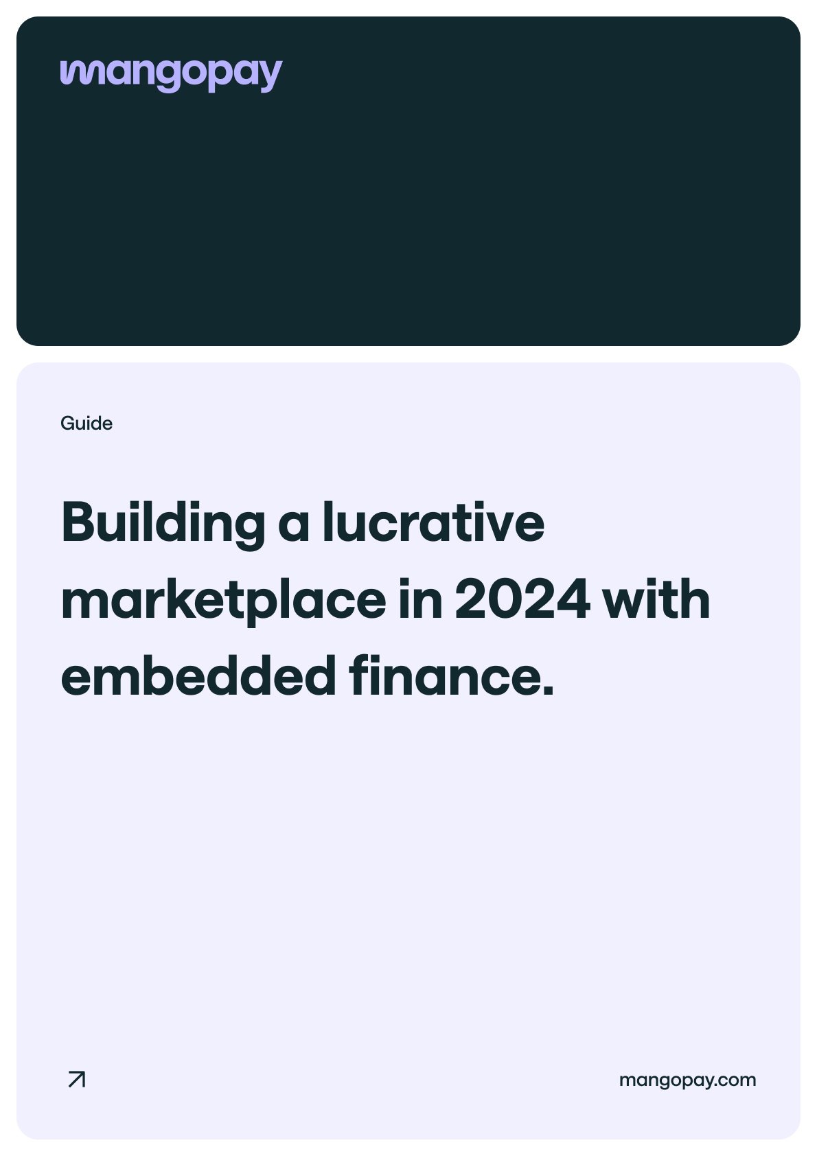 Building a lucrative marketplace in 2024 with embedded finance