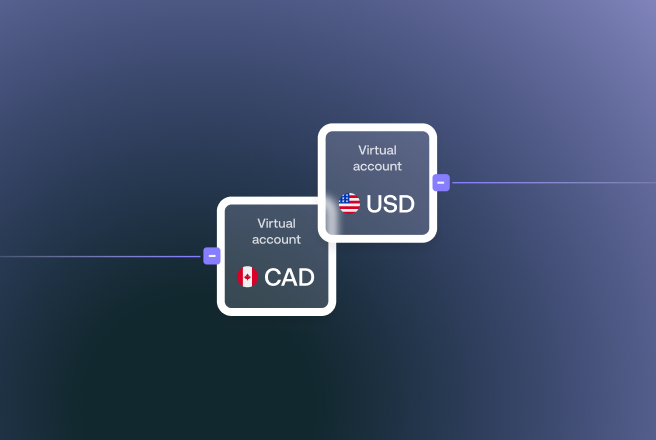 virtual-accounts-thumbnail-new